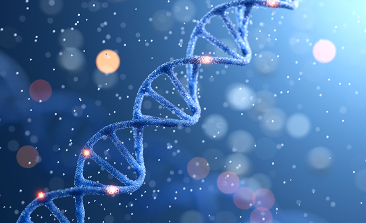 Evlilik Öncesi Spinal Musküler Atrofi (SMA) Taşıyıcı Tarama Programı